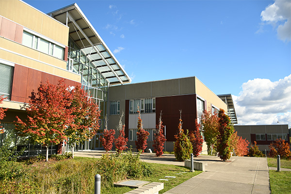 trees with fall leaves outside of rainier building