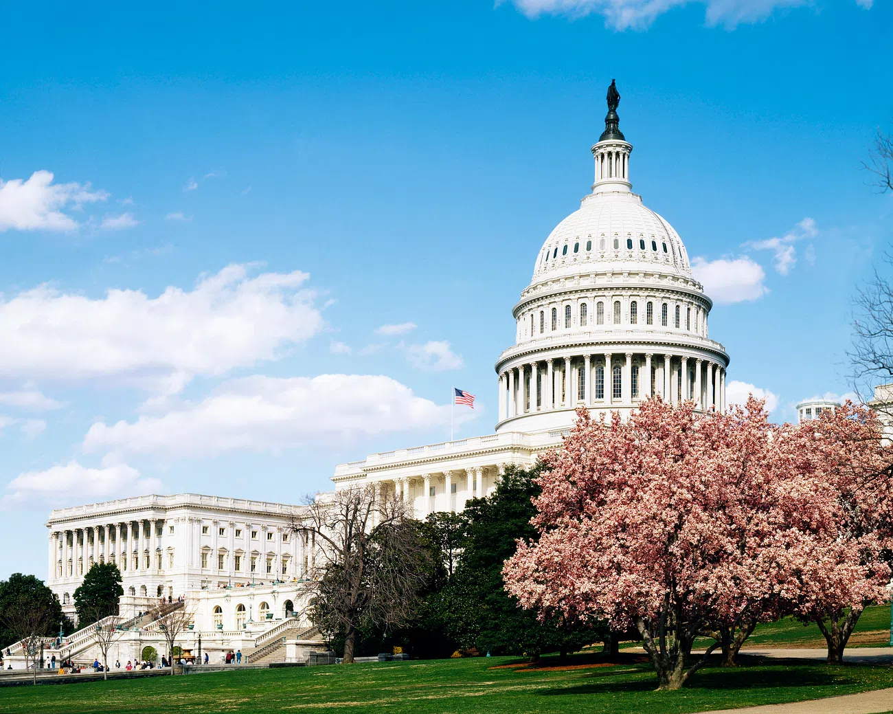 U.S. capitol building in Washington D.C. 