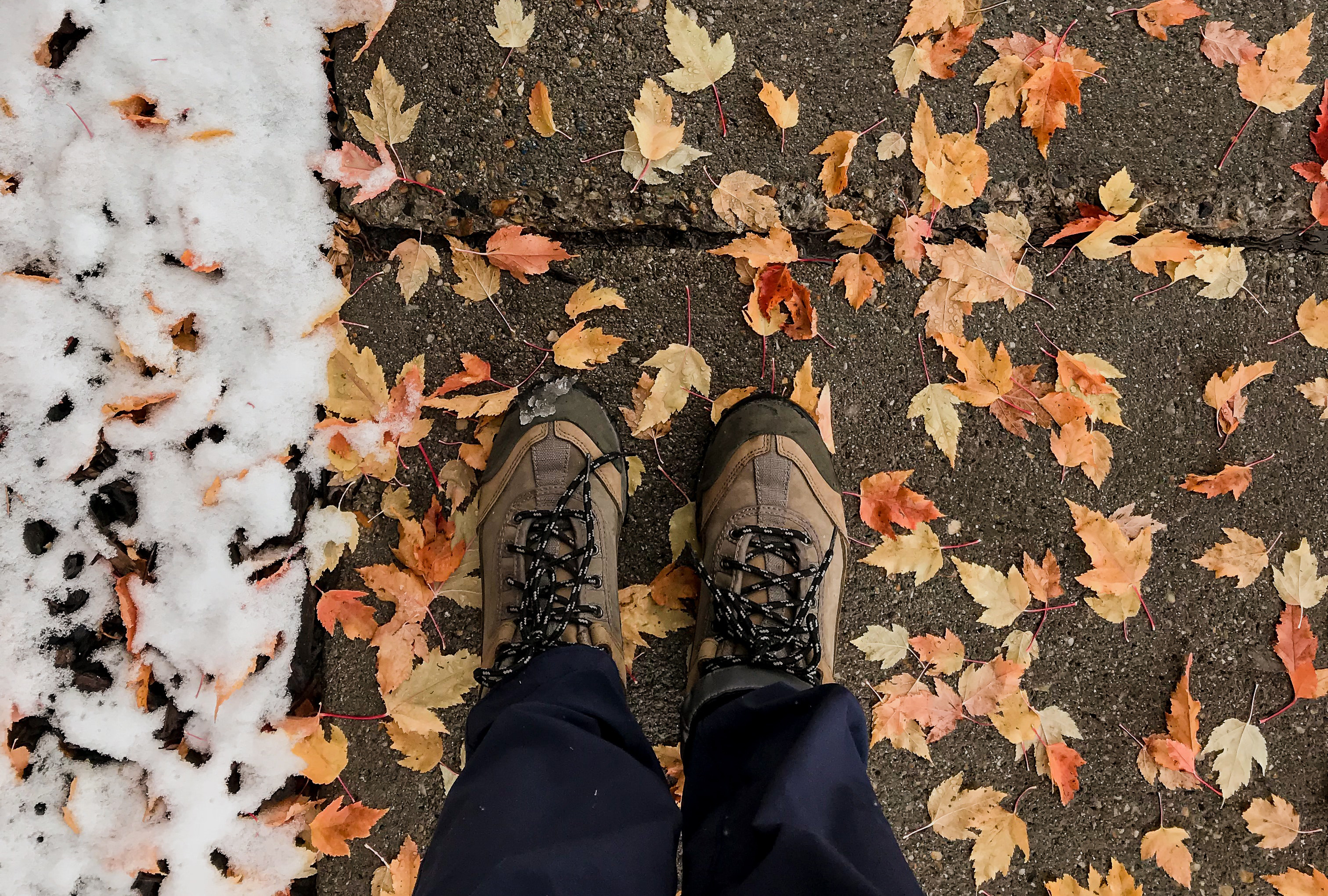 Person standing on a sidewalk covered with leaves and snow
