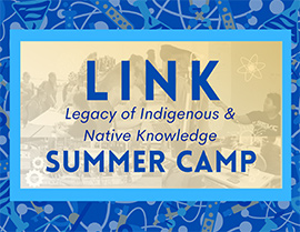 LINK Summer Camp