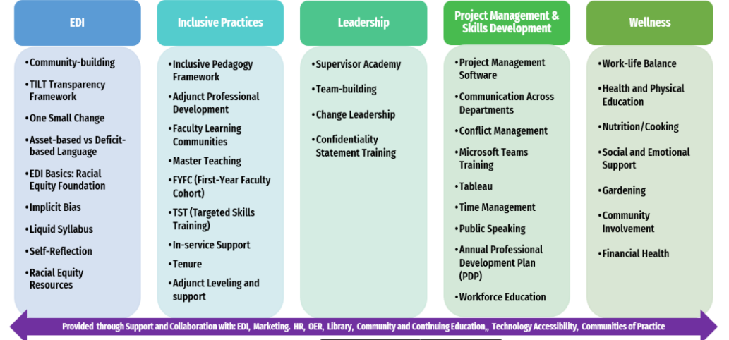 Infographic with five pillars of professional development and examples of programs under each