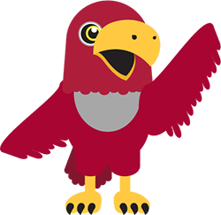 illustration of the red pierce college raider bird