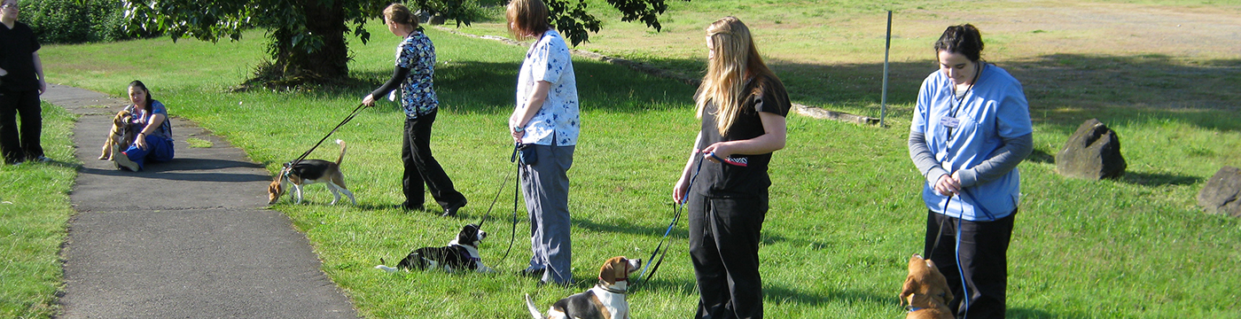 veterinary technician students outside with dogs on leashes